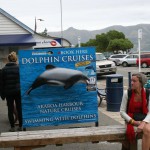 Cecilia i väntan att få bada med delfiner i Akaroa Nya Zeeland