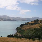 Vy från bergen ovanför Onuko över Akaroa Harbour i Nya Zeeland