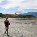 Härlig vandring på stranden längs Waiopuka Bay i Kaikoura