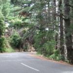 Vägen från Akaroa till Onuko i Nya Zeeland
