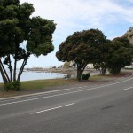 Esplanade i Kaikoura trevlig strandväg