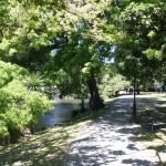 Vacker promenad längs Avon River i Christchurch
