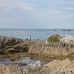 Vackra klippor i Kaikoura