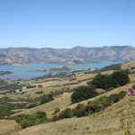 Vi närmar oss Akaroa Harbour