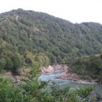 Buller Gorge har Nya Zeelands längsta hängbro