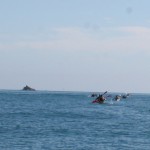 Kajaktur i vattnet kring Abel Tasman