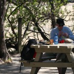 Lunch i en skuggande lund på Abel Tasman